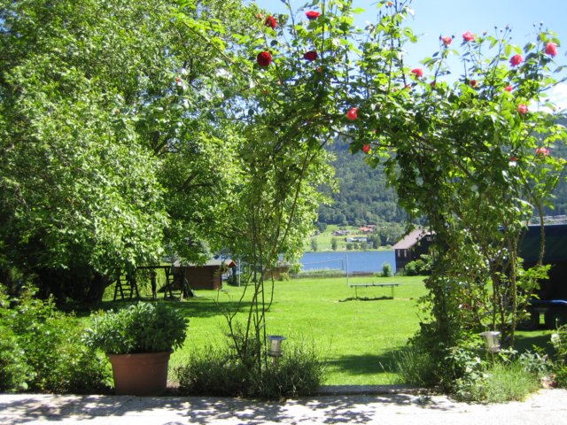 photo168.jpg