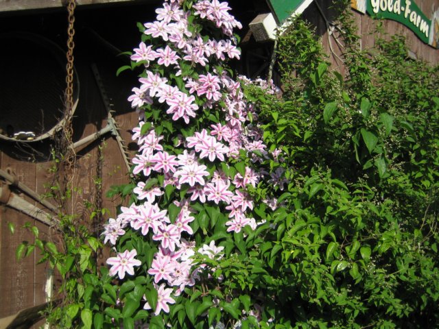 photo23.jpg