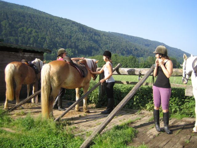photo27.jpg