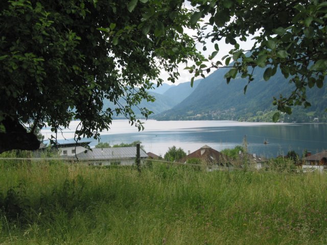 photo215.jpg
