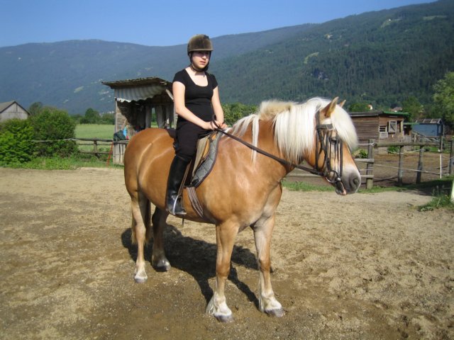 photo29.jpg
