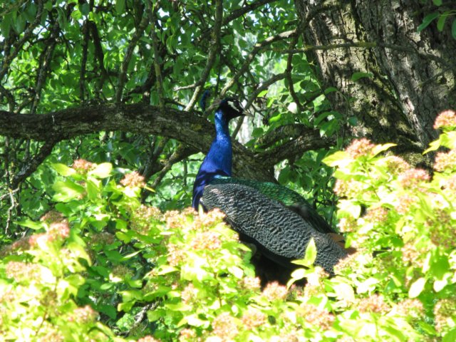 photo114.jpg