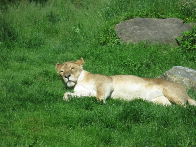 photo120.jpg