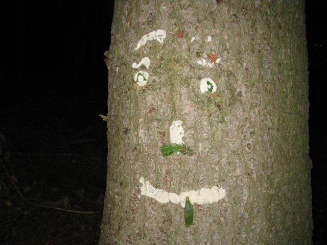 photo202.jpg