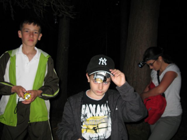 photo212.jpg