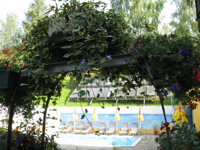 photo49.jpg