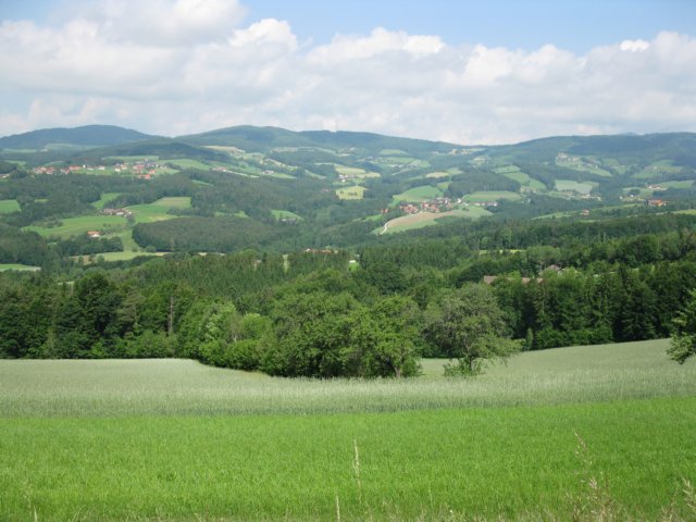 photo55.jpg