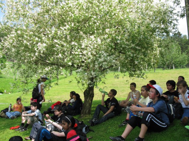 photo83.jpg