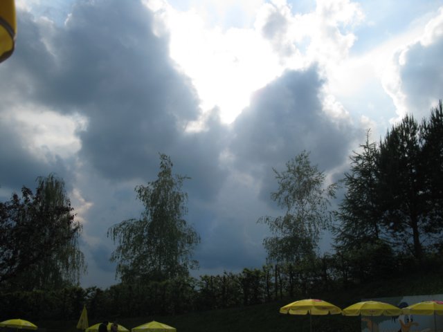 photo96.jpg
