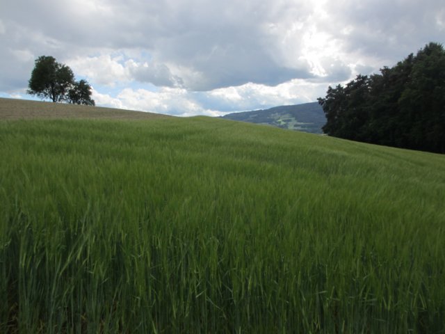 img_1930.jpg