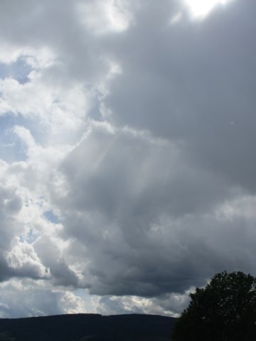 img_1933.jpg