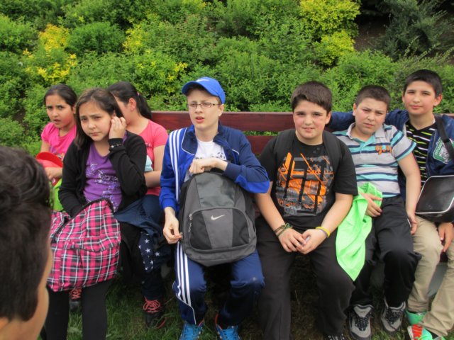 img_1950.jpg