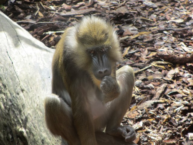 img_2138.jpg