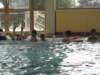 img_3919_small.jpg