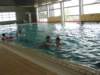 img_3921_small.jpg