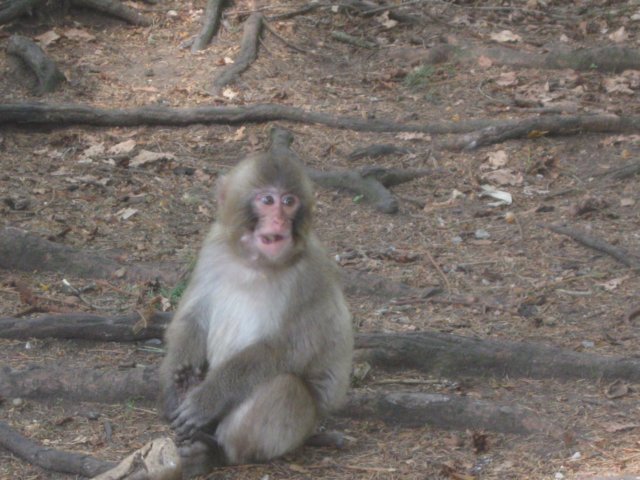 img_2982.jpg