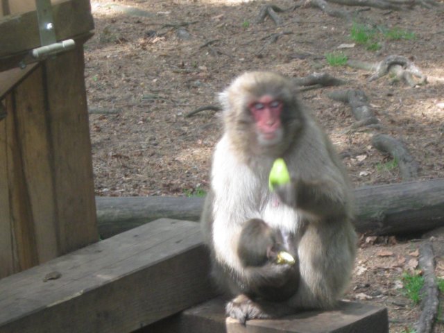 img_2985.jpg