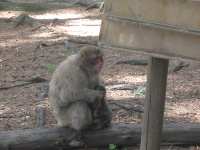 img_2987.jpg