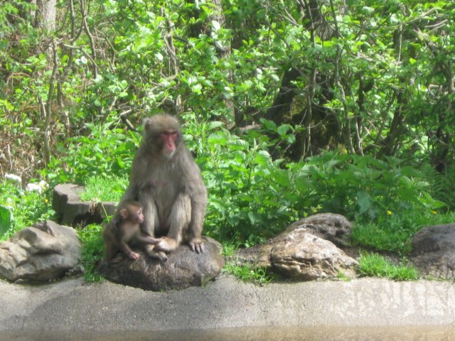 img_2993.jpg