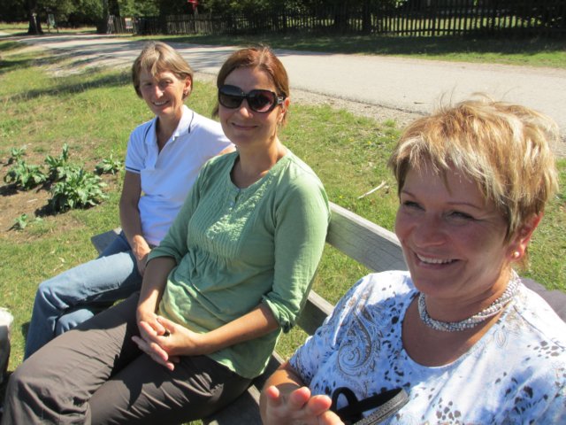 img_7353.jpg