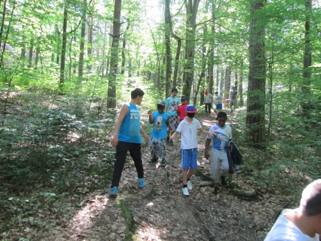 img_0928.jpg