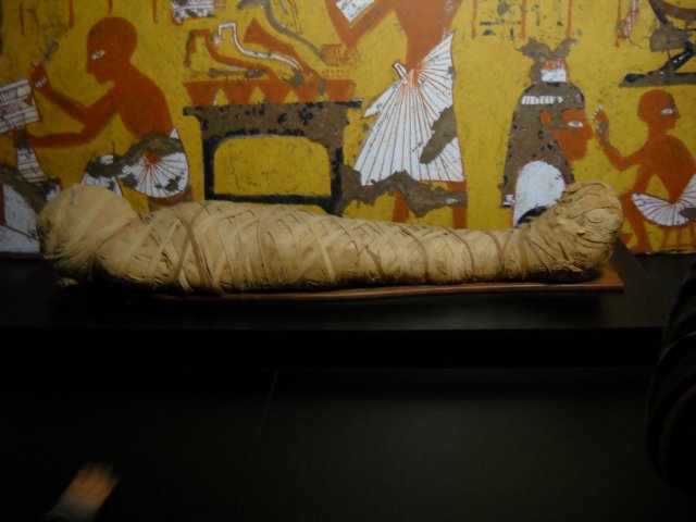 dscn0422.jpg