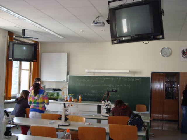 dsc00496.jpg