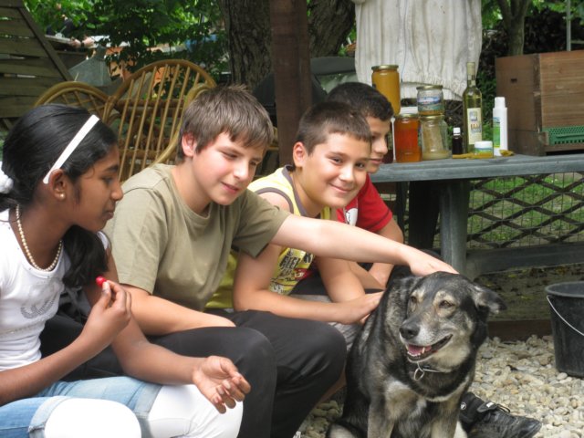 photo27.jpg