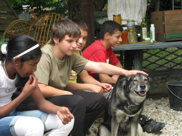 photo28.jpg