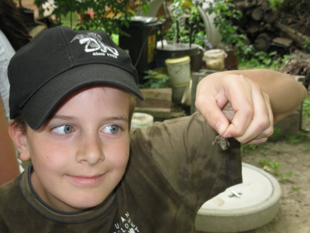 photo34.jpg