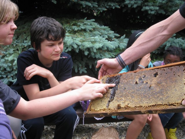photo39.jpg