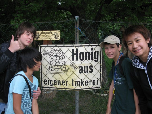 photo42.jpg