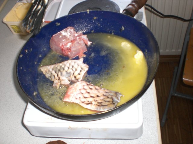 cimg5282.jpg
