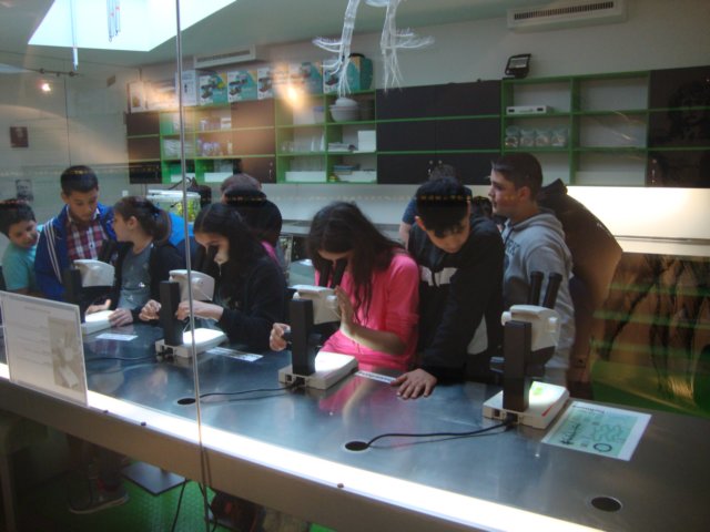 dsc06585.jpg