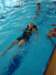 dsc06801_small.jpg