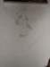 _135456_small.jpg