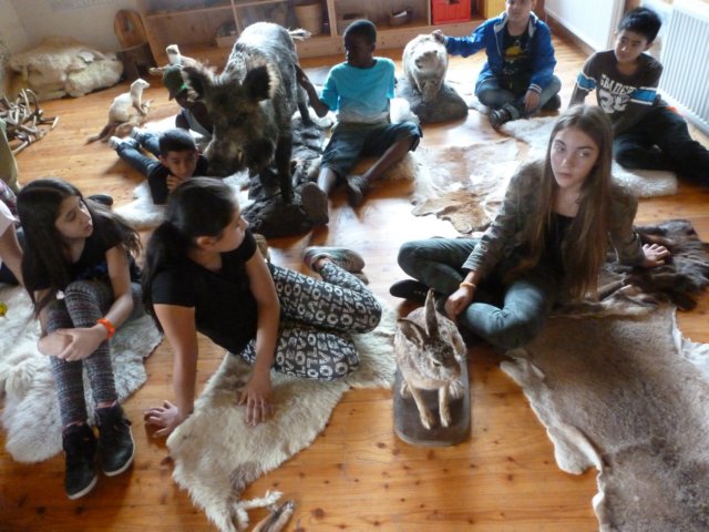 p1050886.jpg