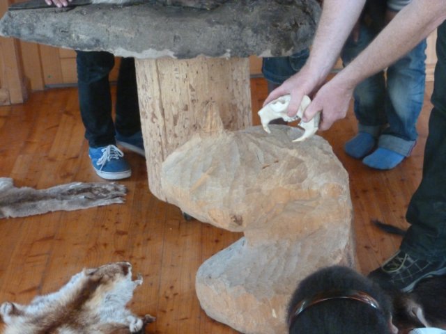 p1050894.jpg