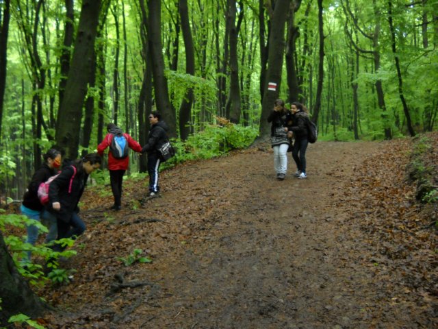 dscn0056.jpg