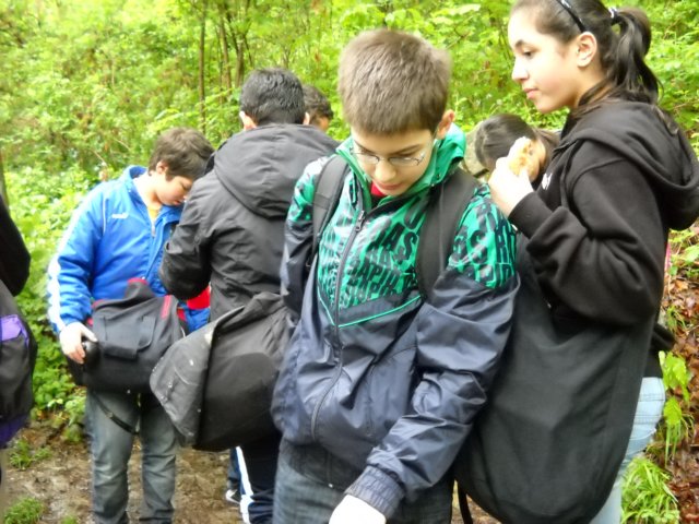 dscn0057.jpg