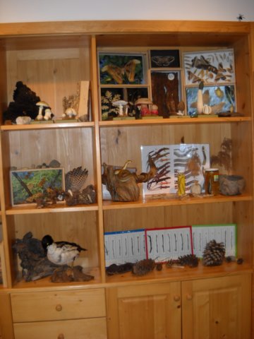 dscn0069.jpg