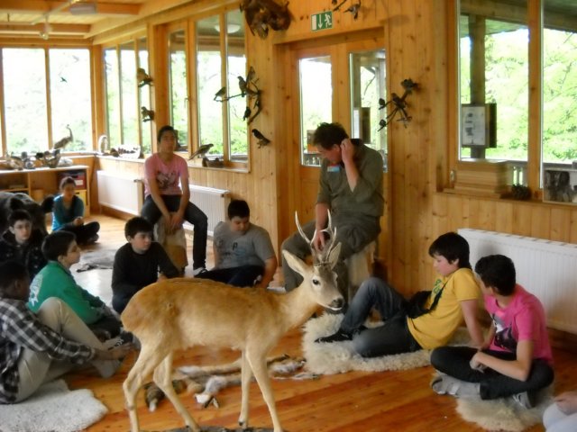 dscn0081.jpg