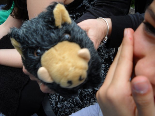 dscn0090.jpg