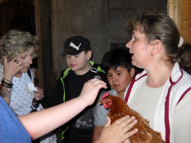 dscn0822.jpg