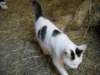 dscn0829_small.jpg