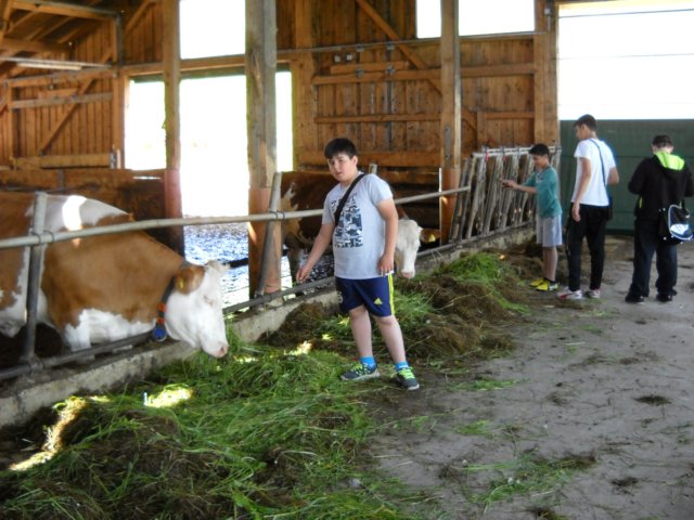 dscn0873.jpg