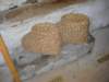 dscn0963_small.jpg