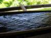 dscn0965_small.jpg