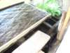 dscn0966_small.jpg