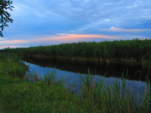 img_1064.jpg
